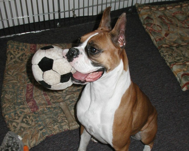photo of Millie with a soccer ball